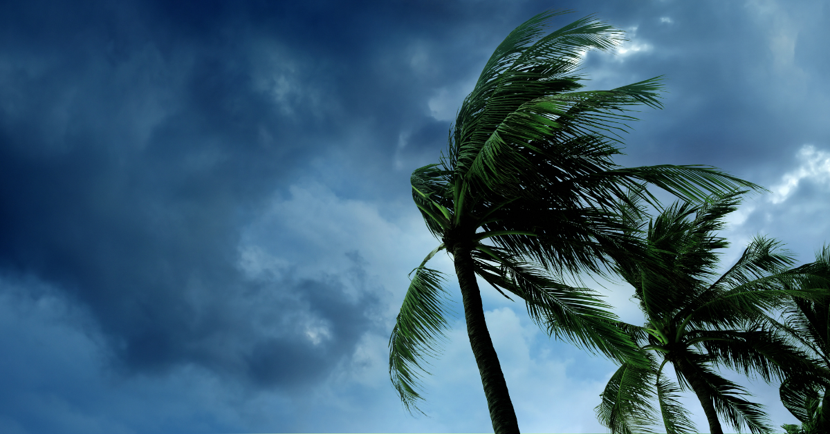 Storm Season Continuity Checklist
